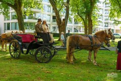 20240908_144138_DSC04081