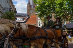 20240908_151038_DSC04091