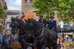 20240908_151212_DSC04102