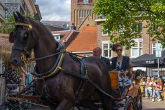 20240908_151235_DSC04109