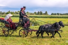 thumbs_20230827_144528_DSC04325