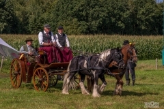 thumbs_20230827_144613_DSC04328