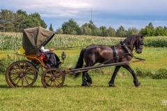 thumbs_20230827_145051_DSC04342