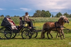 thumbs_20230827_145257_DSC04359