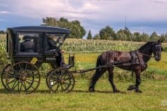 thumbs_20230827_145741_DSC04375